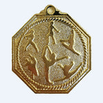 PM37 - Generic Medal