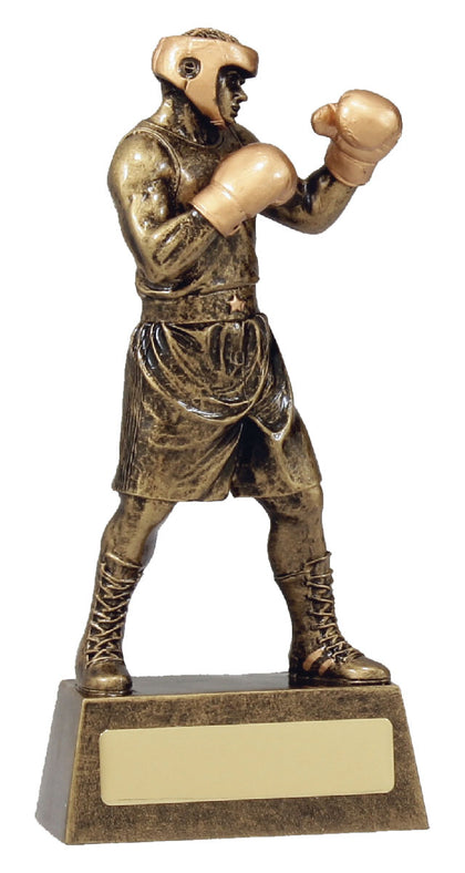 Combat Sports Trophies
