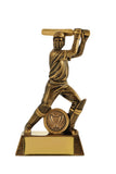Cricket - Batting (All Action Hero Series)
