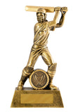 Cricket - Batting (All Action Hero Series)