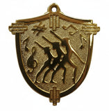 PM31 - March Medal