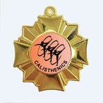 PM36 - Victory Medal