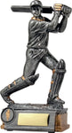 Cricket - Batting (Premier Series)