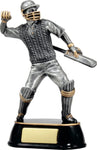 Cricket - Celebration