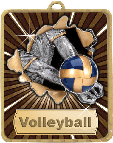 Volleyball - Lynx Medal