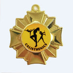 PM41 - Victory Medal